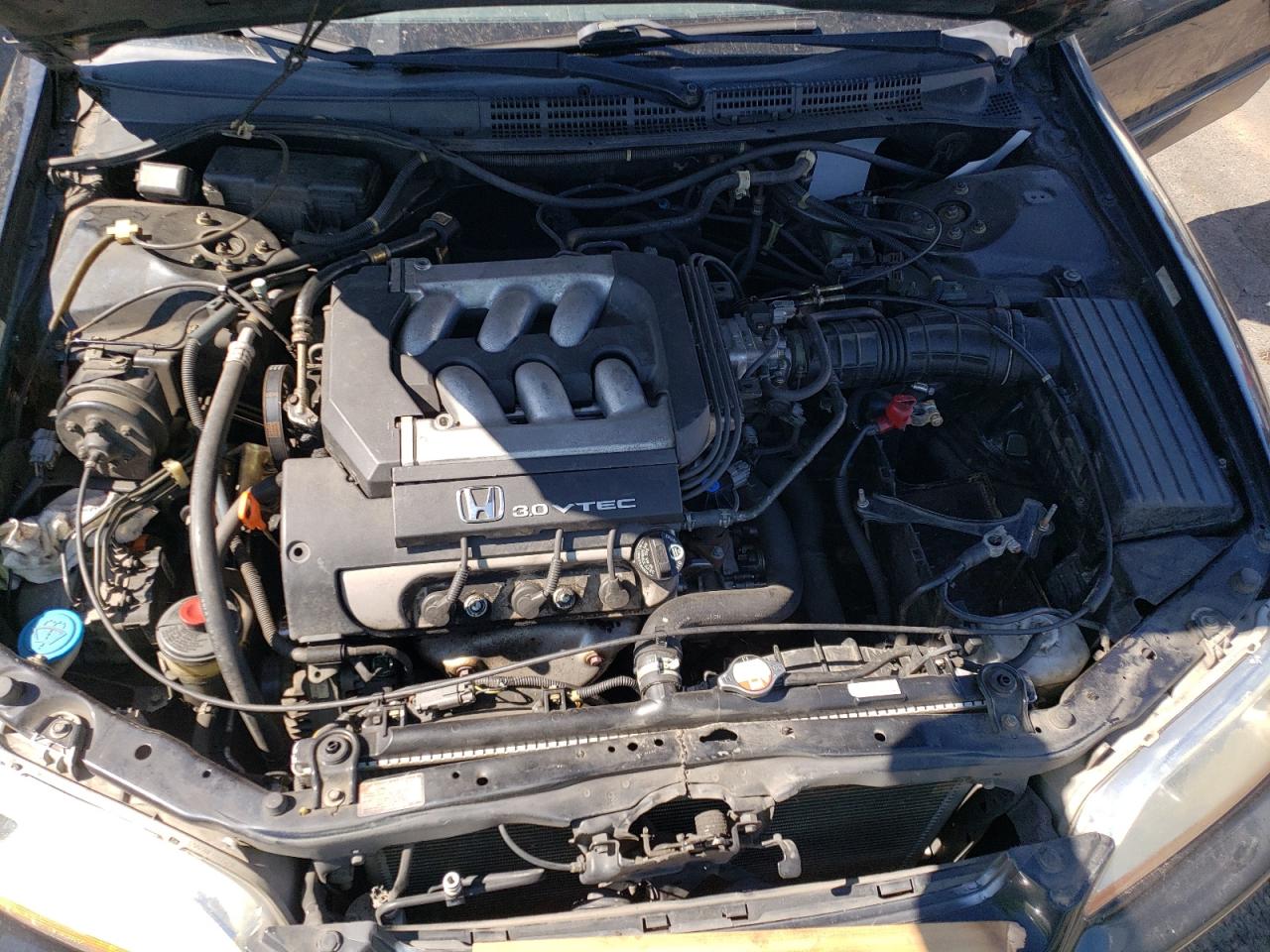 1999 Honda Accord Lx VIN: 1HGCG1649XA063516 Lot: 64301594