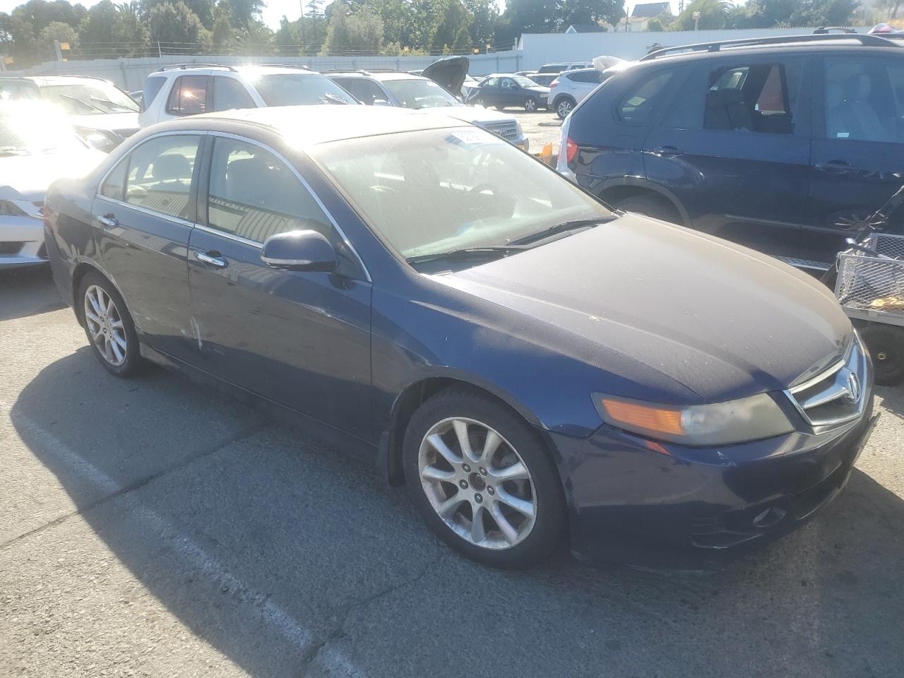 2007 Acura Tsx VIN: JH4CL96987C011348 Lot: 62768124