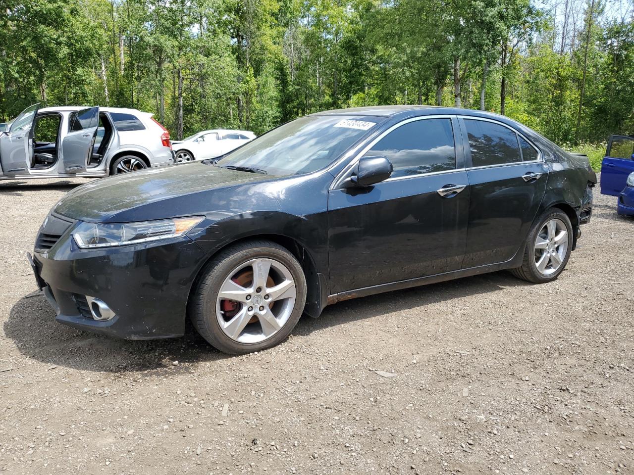 2011 Acura Tsx VIN: JH4CU2F64BC800390 Lot: 61430434