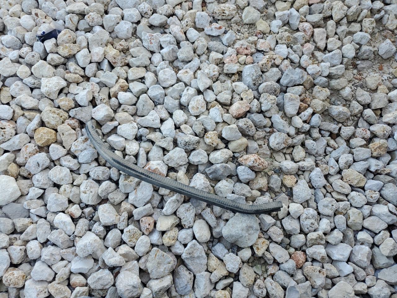 2020 Ford Transit T-250 VIN: 1FTBR3X85LKB04214 Lot: 60315204