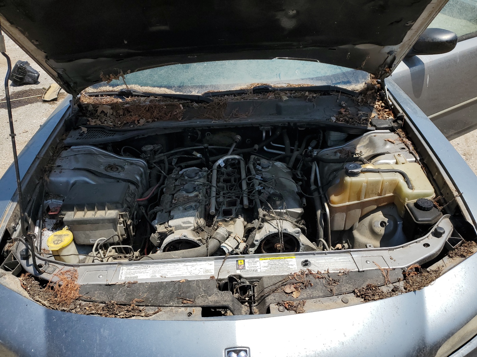 2B3KA43G96H508284 2006 Dodge Charger Se