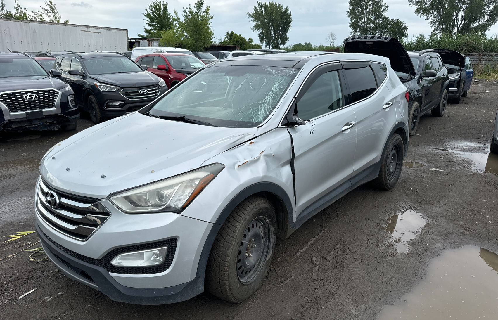 2013 Hyundai Santa Fe Sport vin: 5XYZUDLB1DG011945