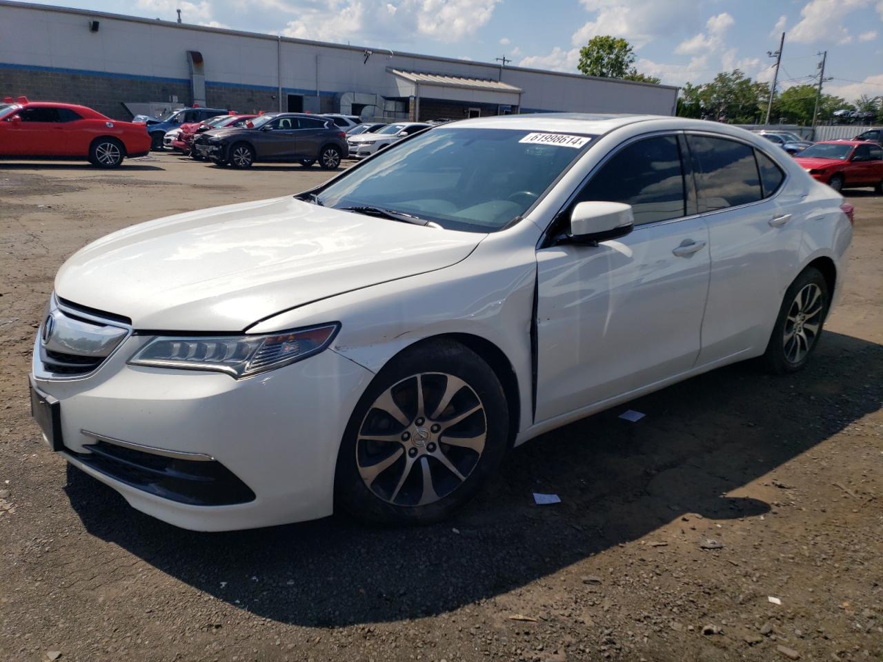 2015 Acura Tlx VIN: 19UUB1F38FA012873 Lot: 61998614