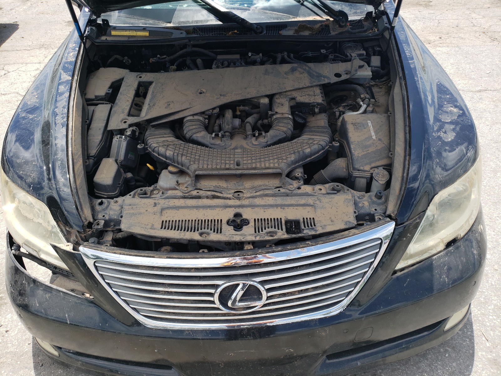 JTHBL46F275017137 2007 Lexus Ls 460