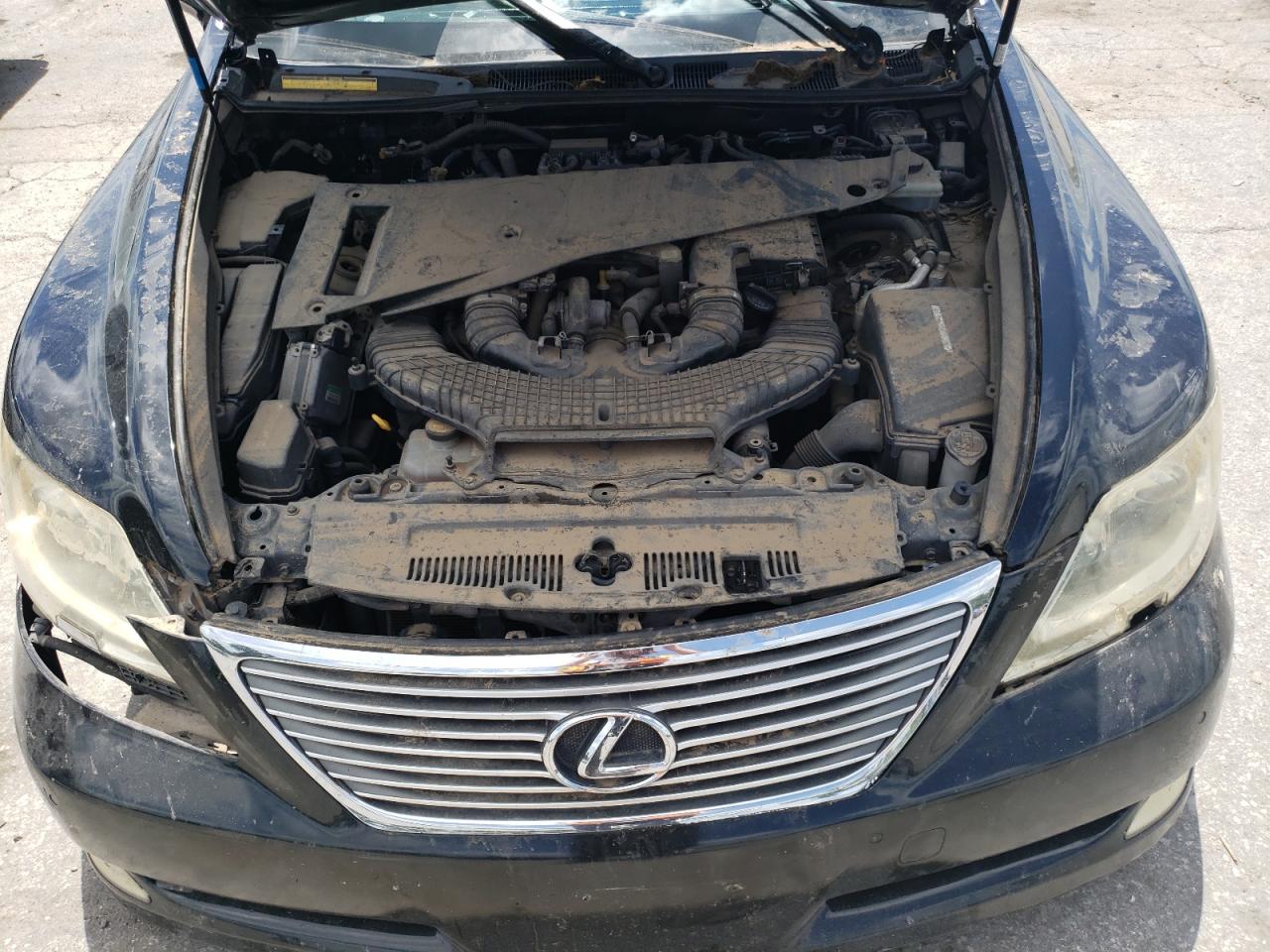 2007 Lexus Ls 460 VIN: JTHBL46F275017137 Lot: 63704954