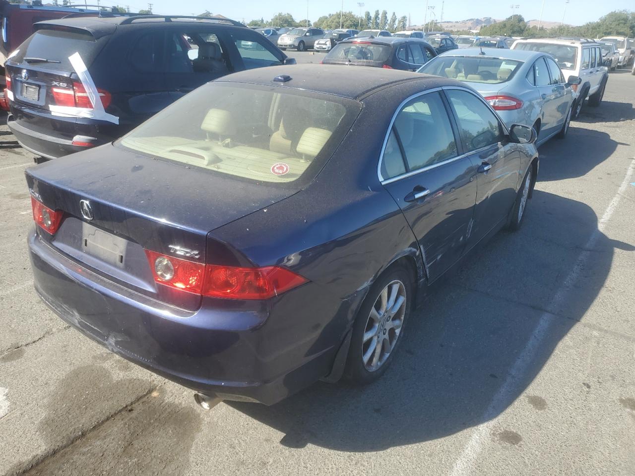 2007 Acura Tsx VIN: JH4CL96987C011348 Lot: 62768124