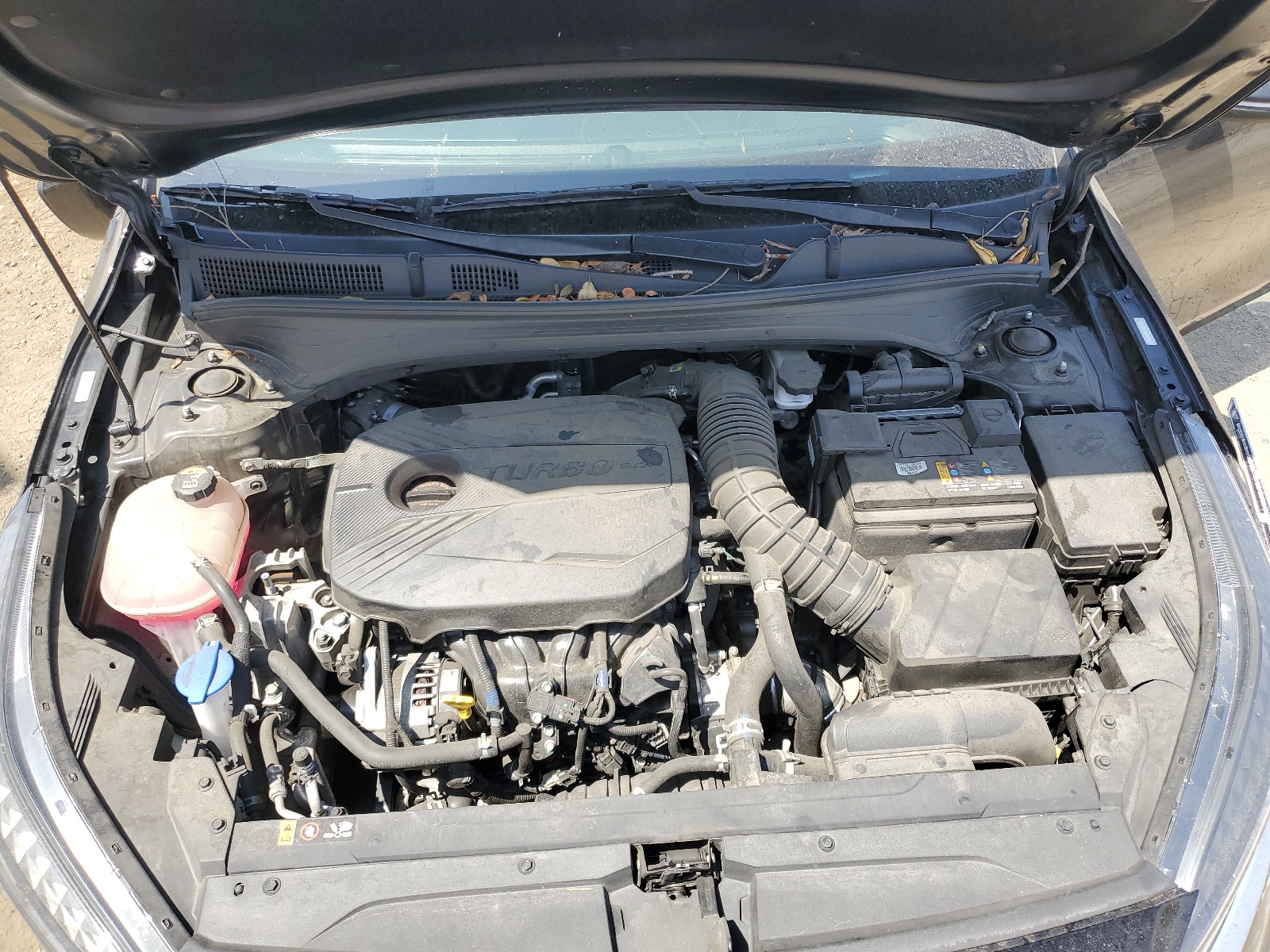 3KPF44AC2NE443649 2022 Kia Forte Gt