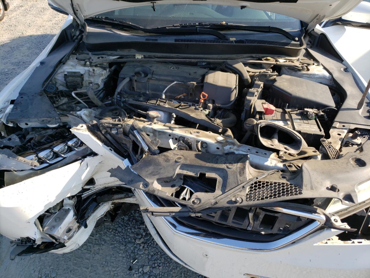 2016 Acura Tlx VIN: 19UUB1F35GA012931 Lot: 62344524