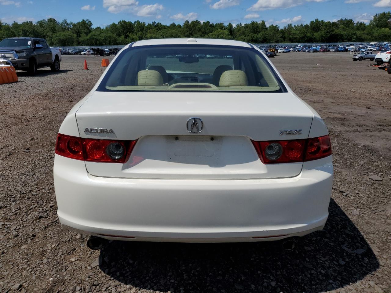 2006 Acura Tsx VIN: JH4CL968X6C037648 Lot: 62315864