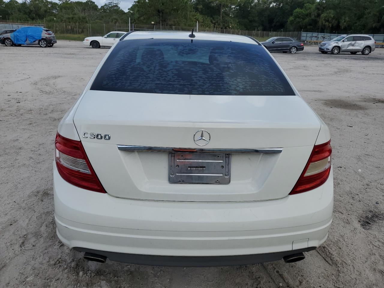 2010 Mercedes-Benz C 300 VIN: WDDGF5EB7AR128288 Lot: 63980484