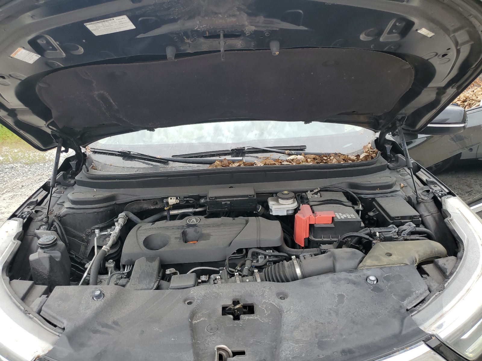 5J8TC1H5XKL022844 2019 Acura Rdx Technology