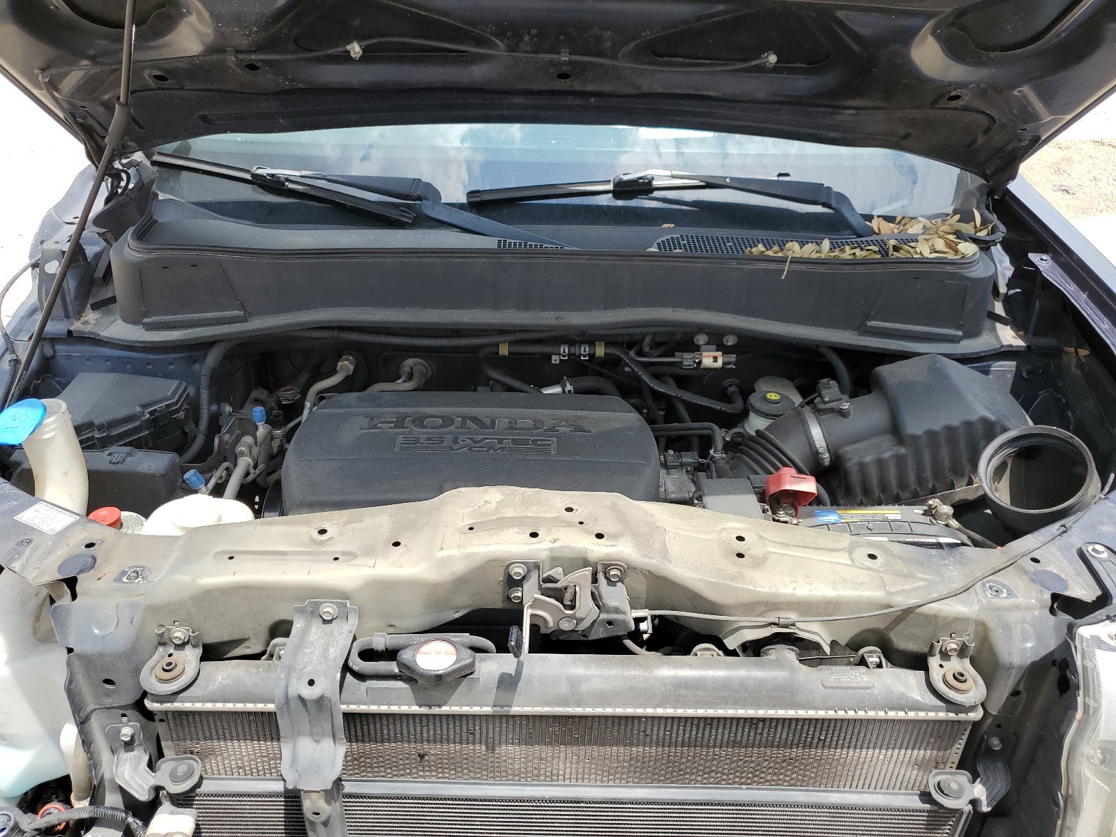 5FNYF3H59BB051312 2011 Honda Pilot Exl