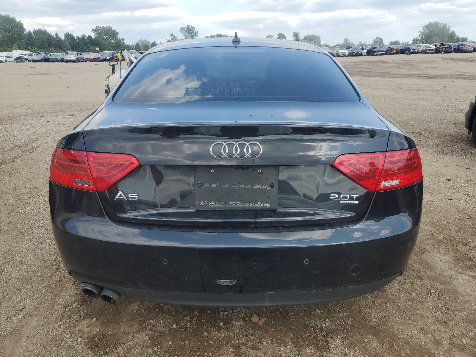 WAULFAFR1DA067064 2013 Audi A5 Premium Plus