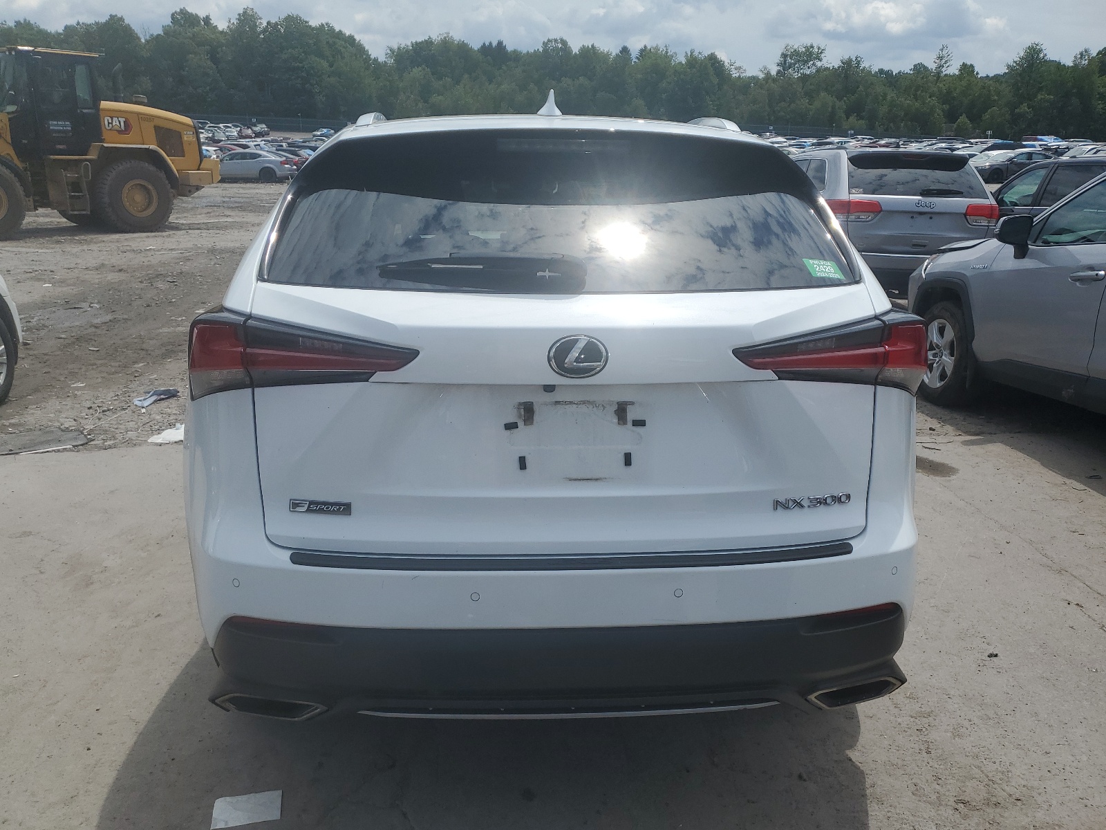 JTJSARDZ9L2218169 2020 Lexus Nx 300 F-Sport