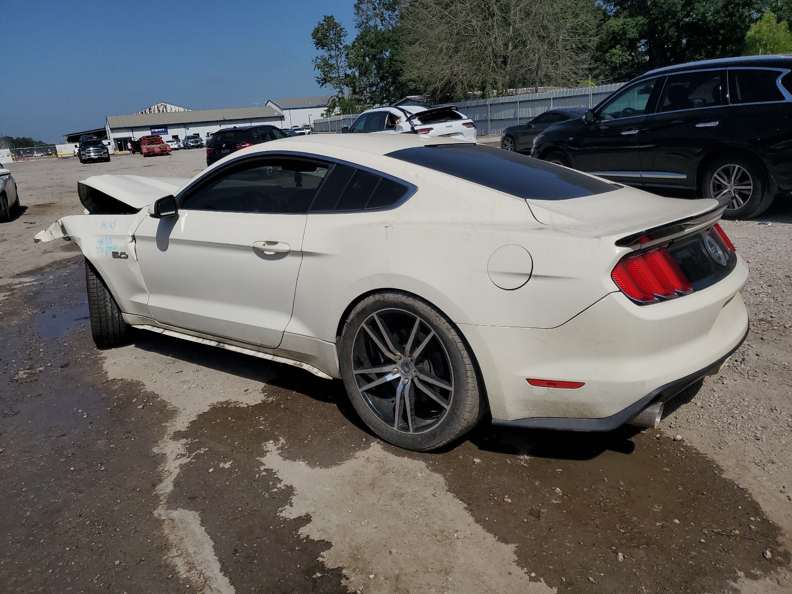 2015 Ford Mustang 50Th Anniversary vin: 1FA6P8RF6F5501813