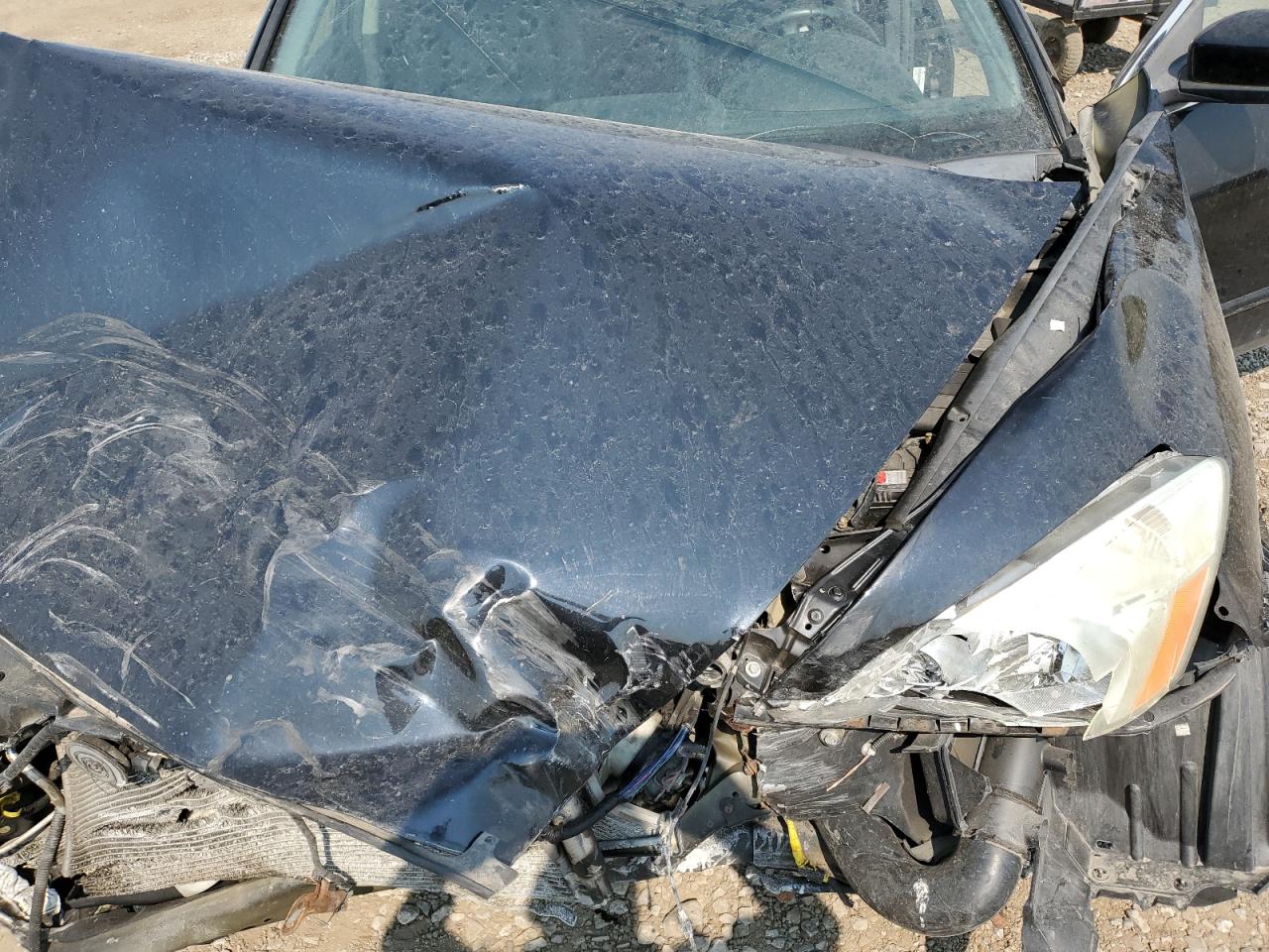 2006 Honda Accord Ex VIN: 1HGCM56836A808147 Lot: 88062715