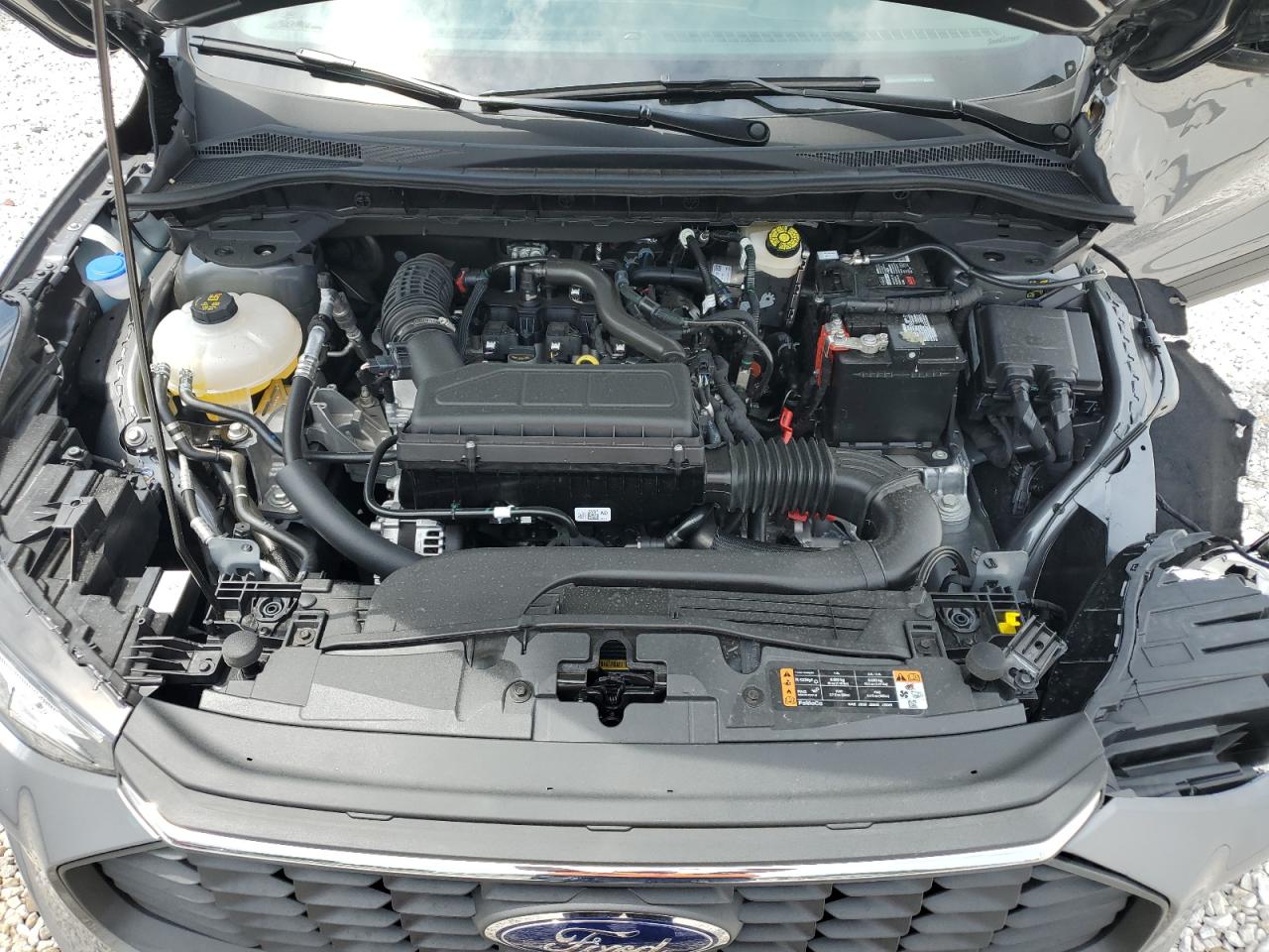 2024 Ford Escape Active VIN: 1FMCU9GN1RUB00455 Lot: 64626464