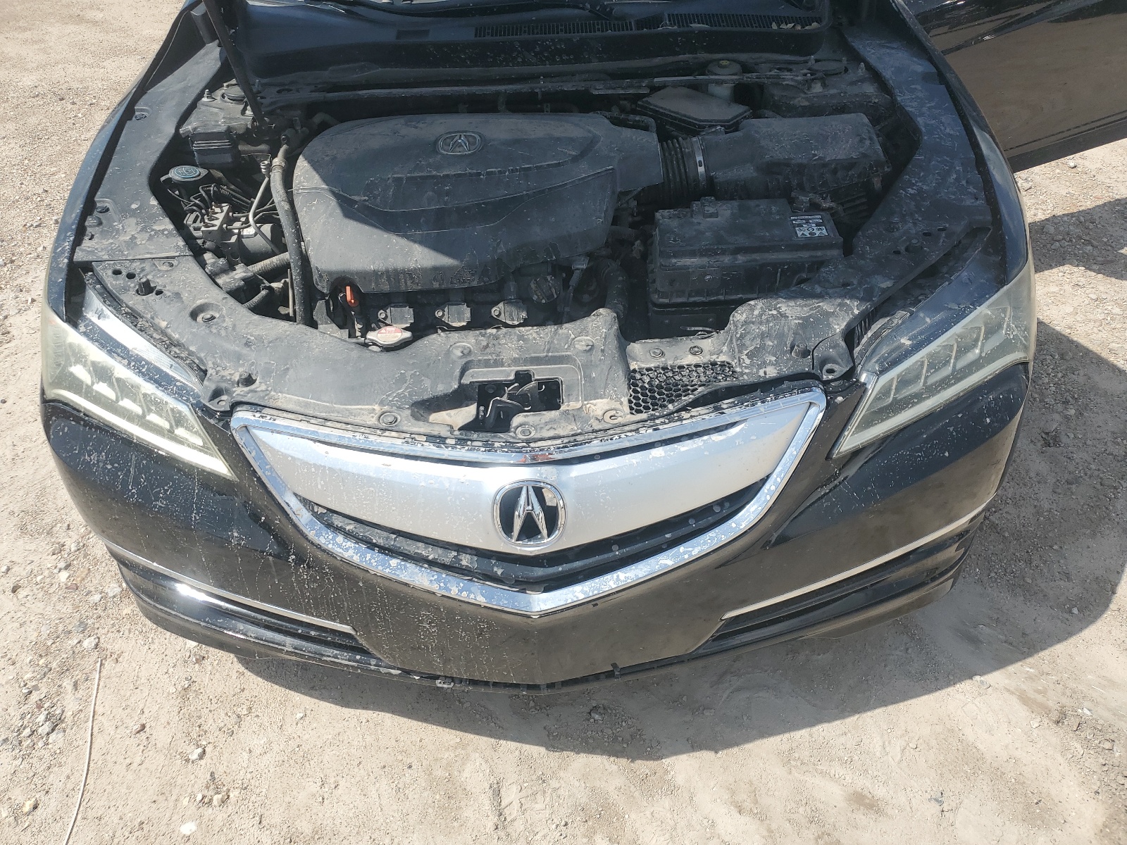 19UUB2F54FA002932 2015 Acura Tlx Tech