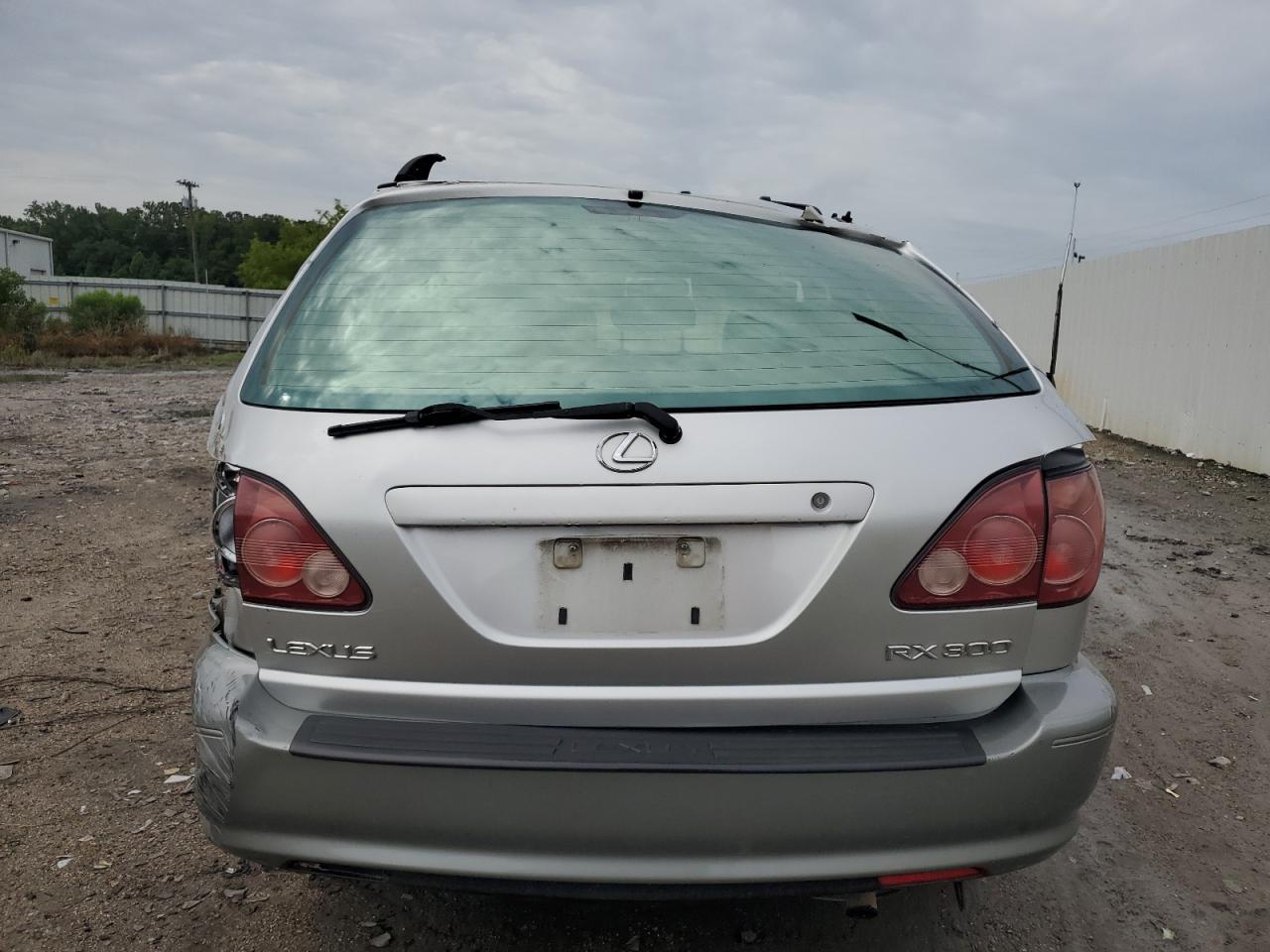 1999 Lexus Rx 300 VIN: JT6HF10U4X0046944 Lot: 64299494