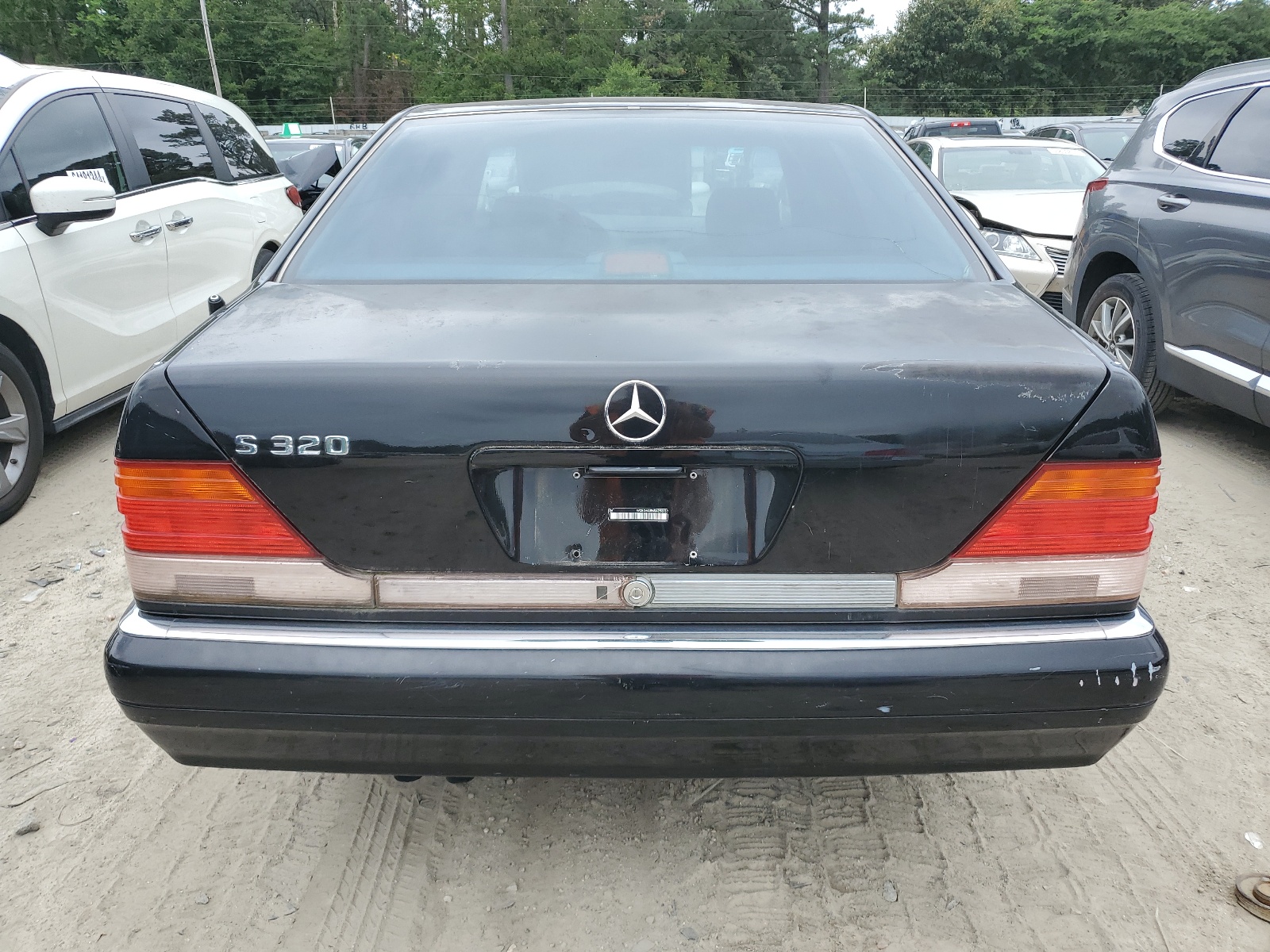 WDBGA33E6SA215513 1995 Mercedes-Benz S 320