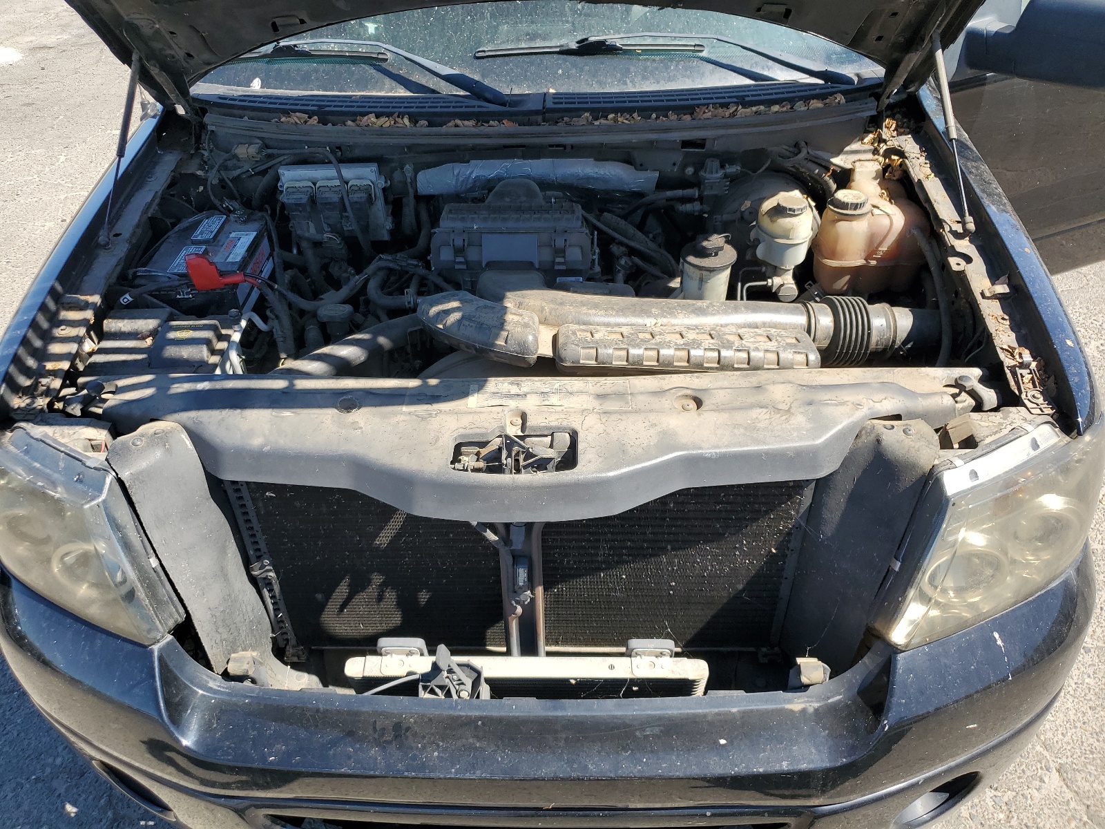 1FTRX14536FA94413 2006 Ford F150