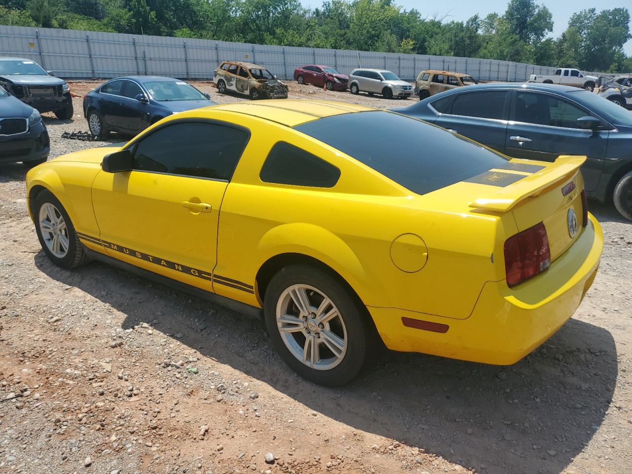 2006 Ford Mustang VIN: 1ZVFT80N265132617 Lot: 63611484