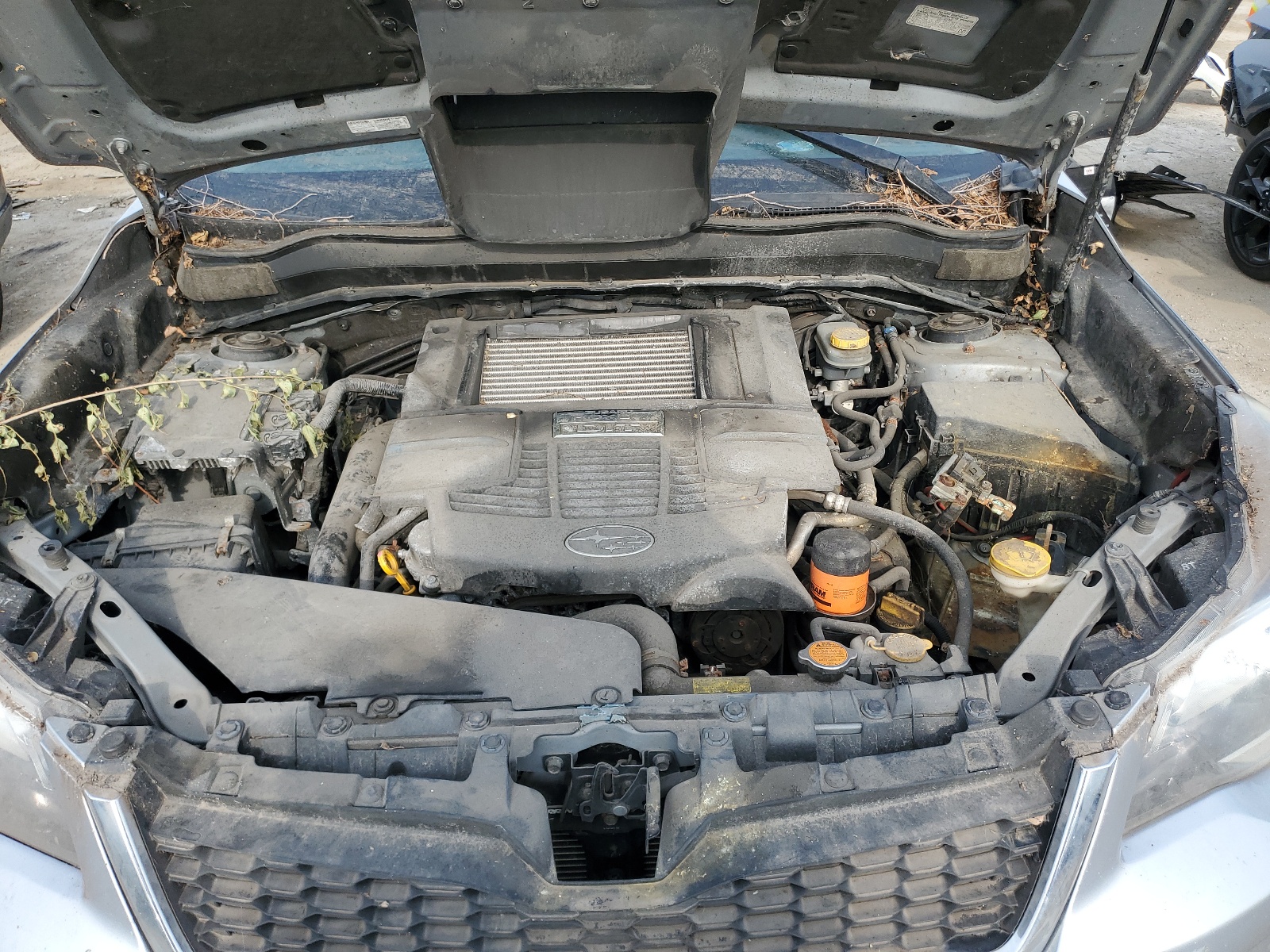 JF2SJGDC6FH421994 2015 Subaru Forester 2.0Xt Premium