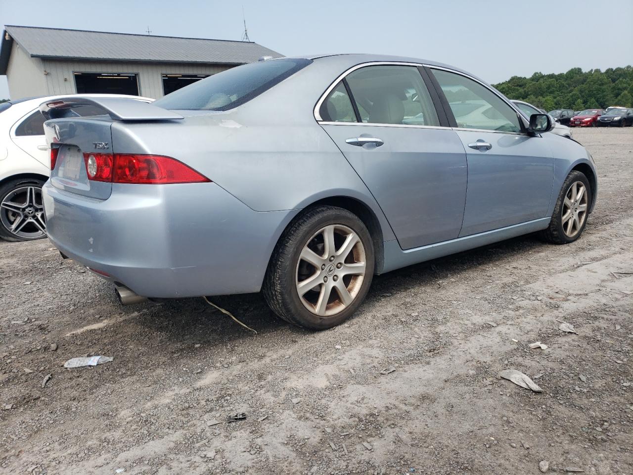 2005 Acura Tsx VIN: JH4CL96895C022542 Lot: 61501084