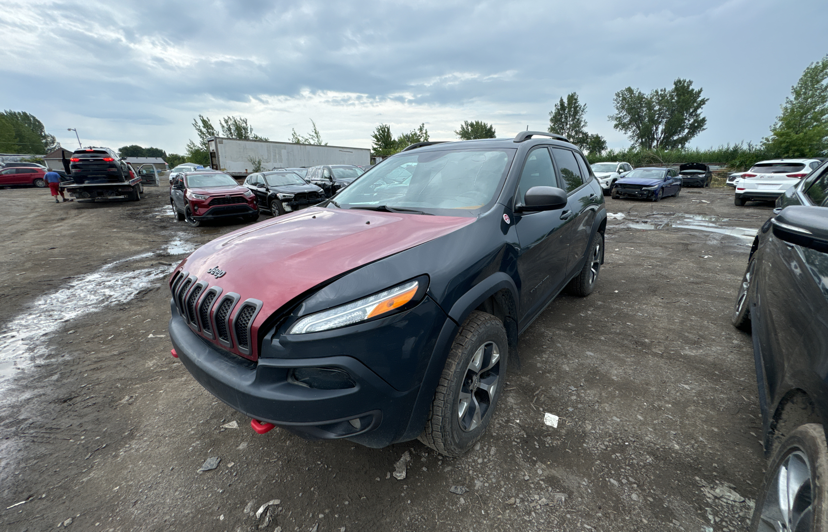 2016 Jeep Cherokee Trailhawk vin: 1C4PJMBS1GW202337