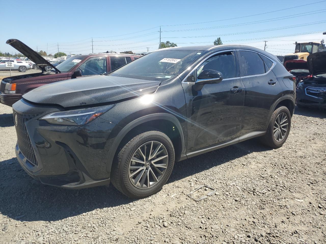 2024 LEXUS NX 350H BA