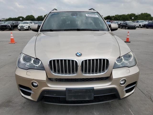  BMW X5 2013 Цвет загара