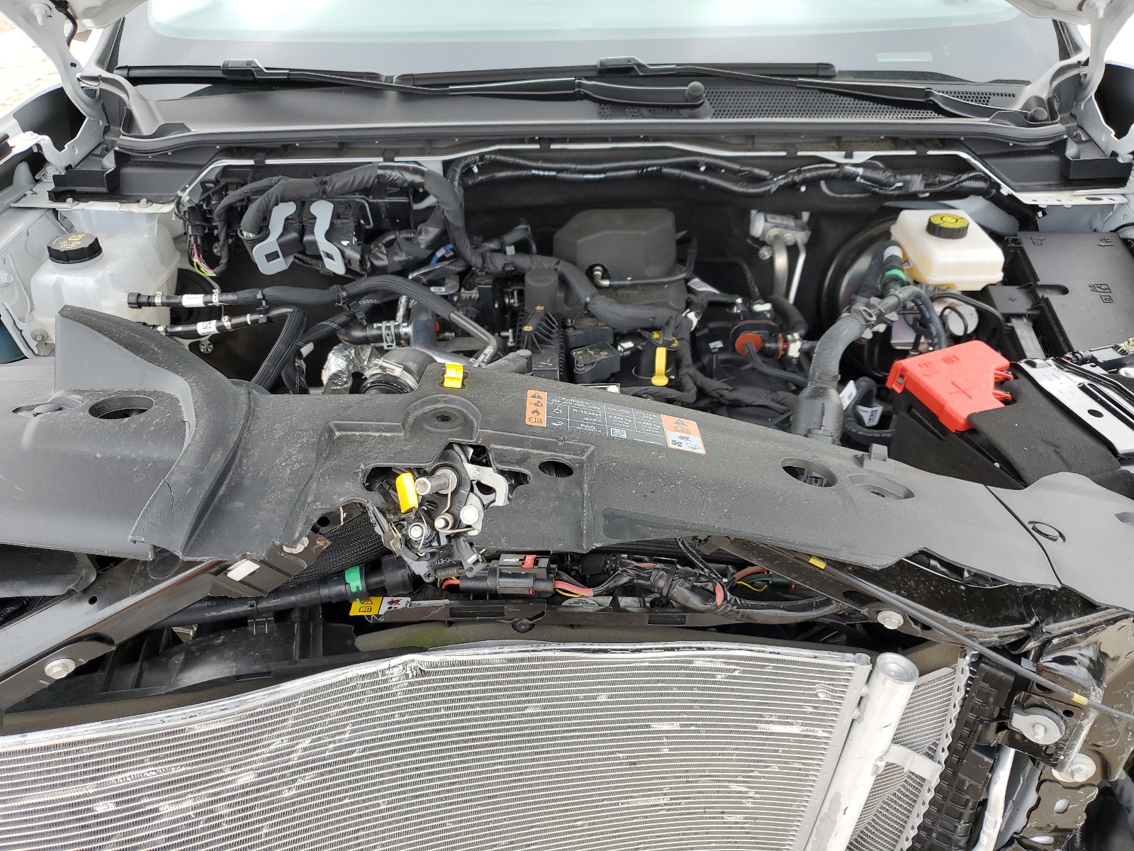 1FTER4BHXRLE18972 2024 Ford Ranger Xl