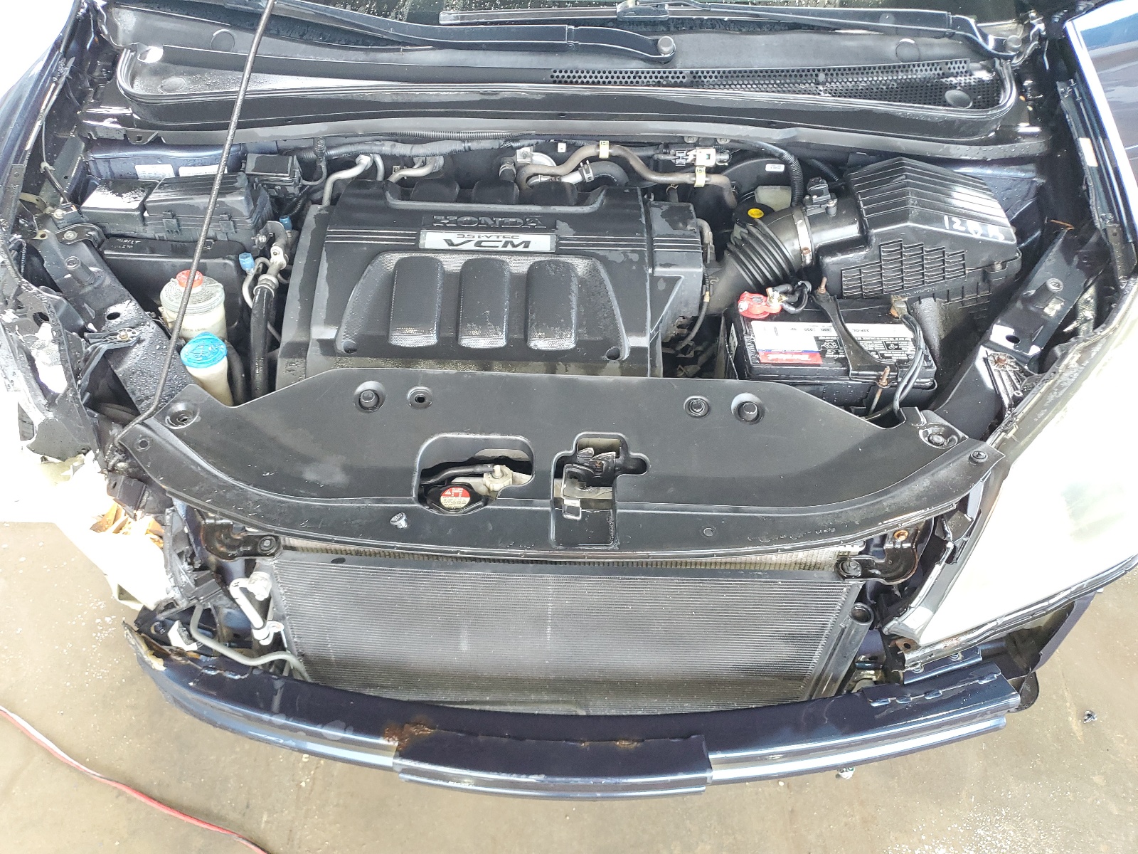 5FNRL38659B403804 2009 Honda Odyssey Exl