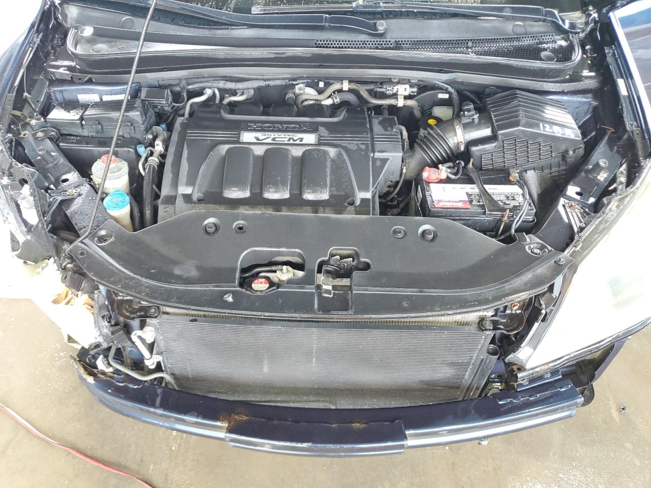 2009 Honda Odyssey Exl VIN: 5FNRL38659B403804 Lot: 64036974