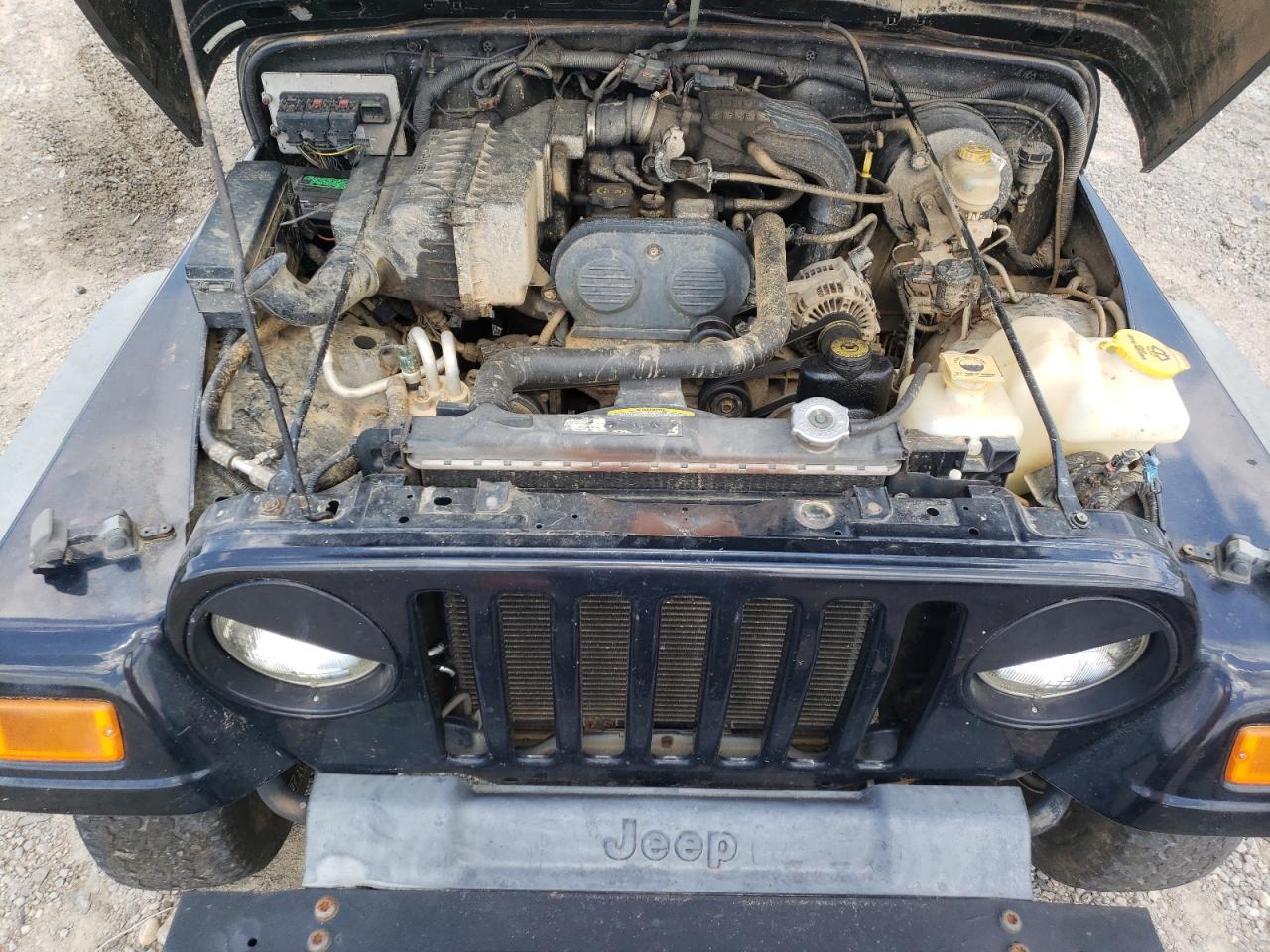 2006 Jeep Wrangler / Tj Se VIN: 1J4FA29186P782430 Lot: 61679494