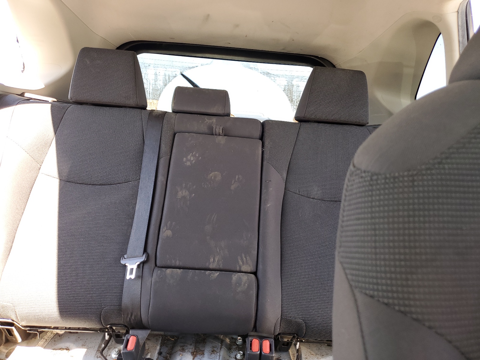 2T3H1RFV5KW017673 2019 Toyota Rav4 Le