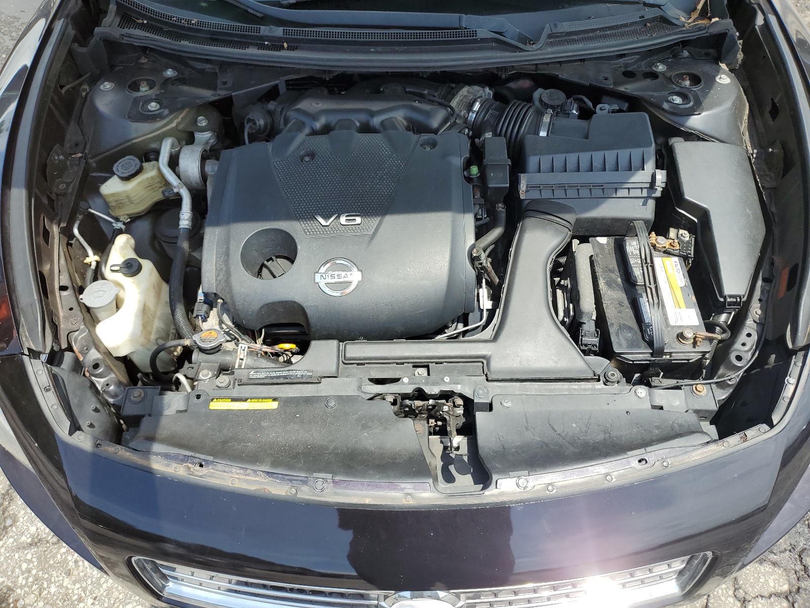 1N4AA5AP0BC833590 2011 Nissan Maxima S