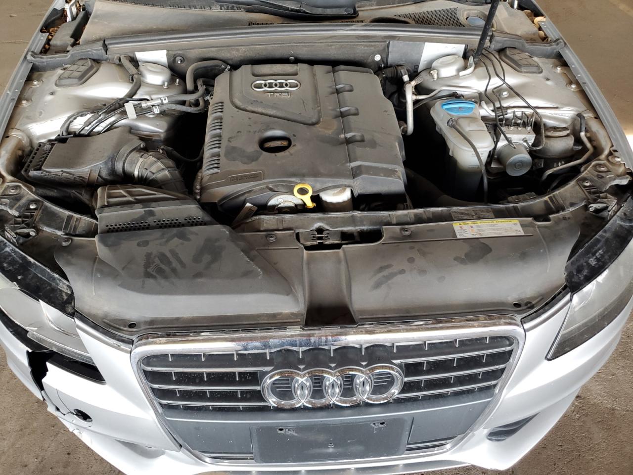 2011 Audi A4 Premium VIN: WAUAFAFL7BN019349 Lot: 64116834