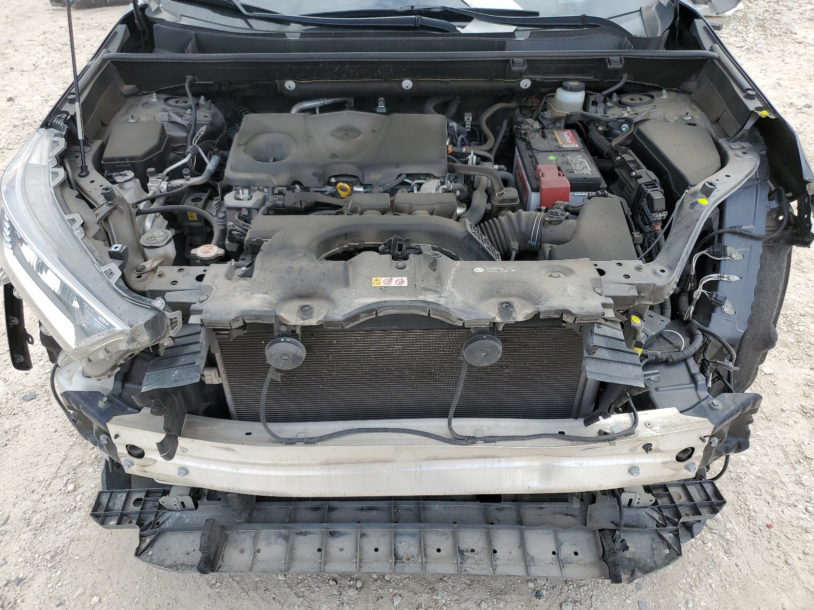 JTMW1RFV4LJ018773 2020 Toyota Rav4 Xle