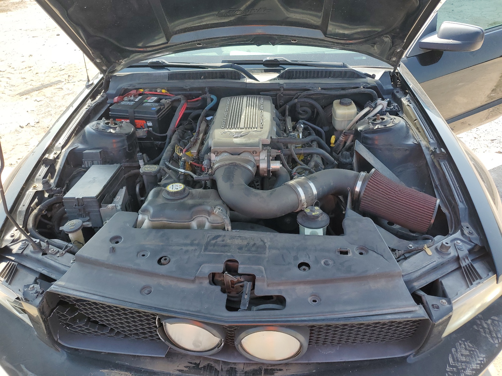 1ZVHT82HX85132366 2008 Ford Mustang Gt