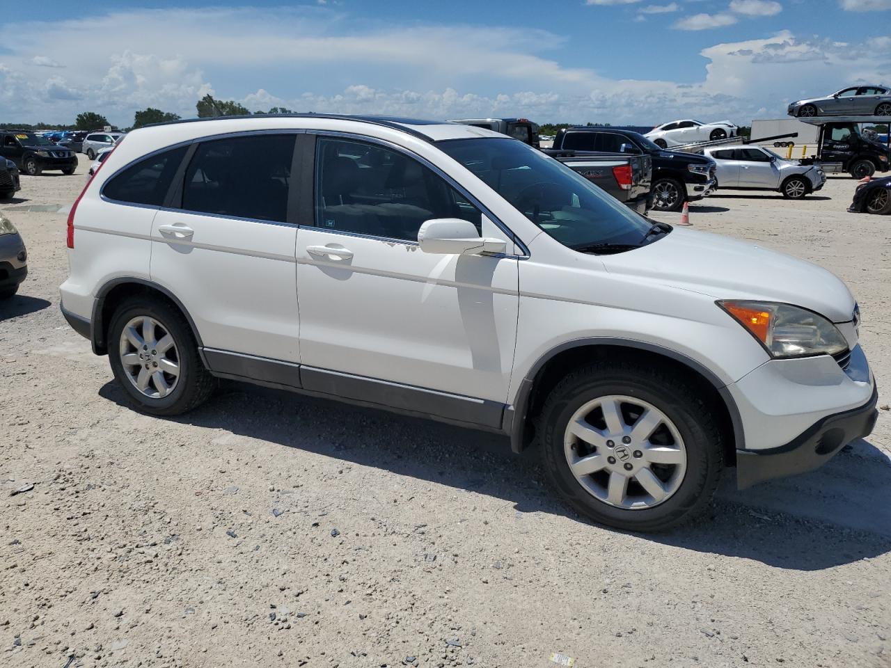 2009 Honda Cr-V Exl VIN: 5J6RE387X9L003926 Lot: 61749314