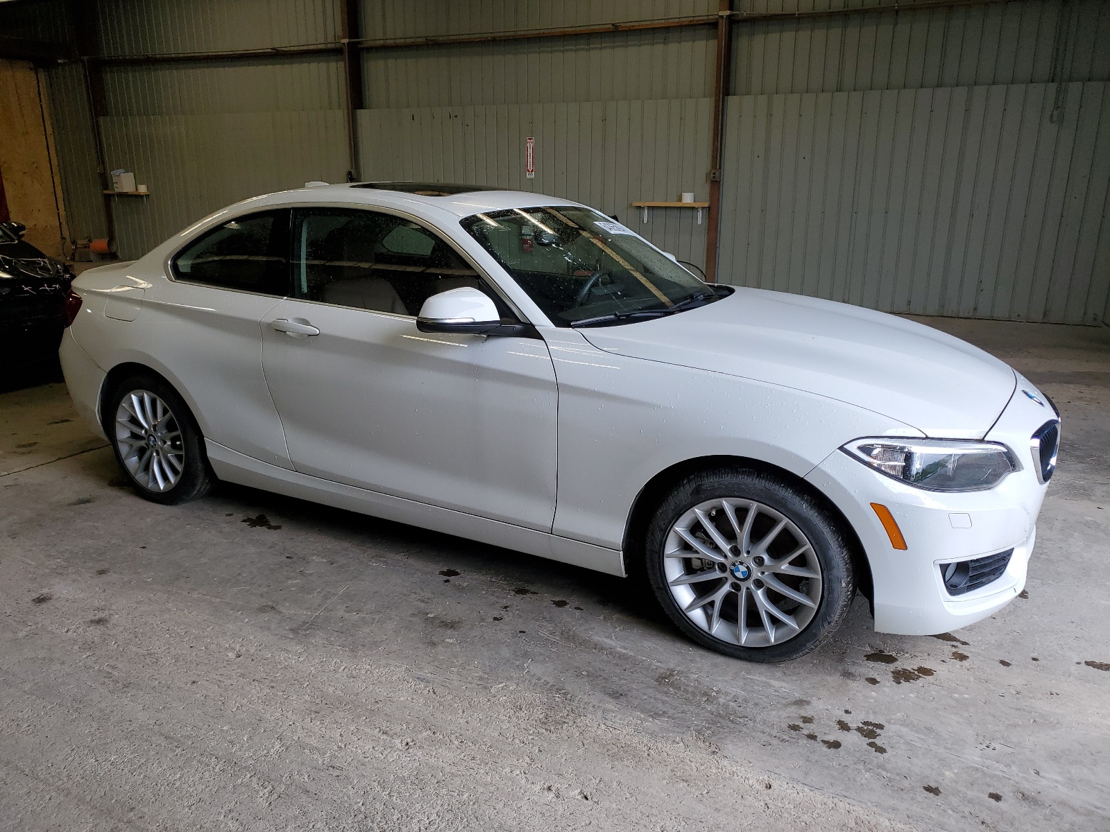 2015 BMW 228 Xi Sulev vin: WBA1G9C57FVX96511