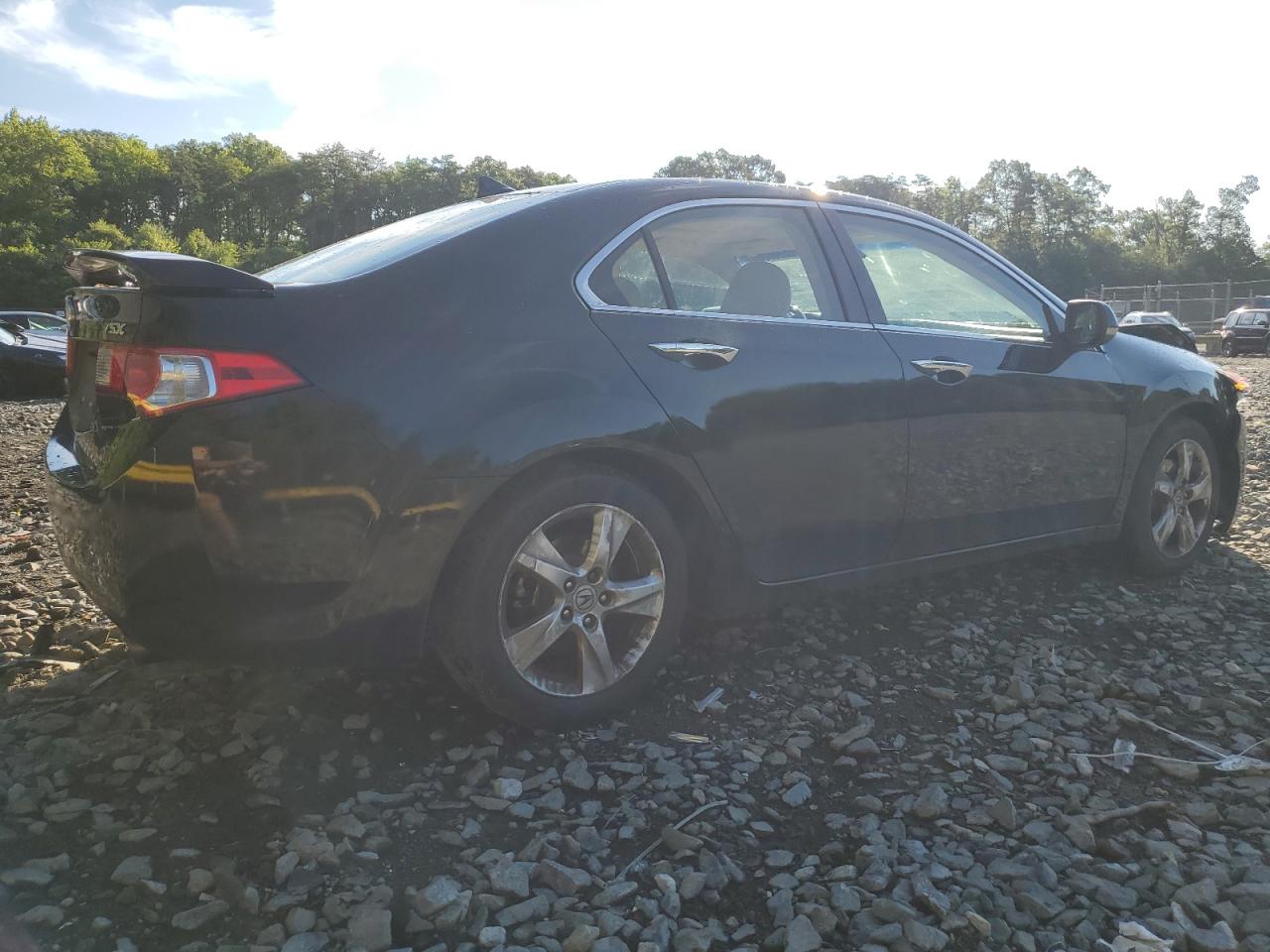 2009 Acura Tsx VIN: JH4CU26699C023165 Lot: 62067964