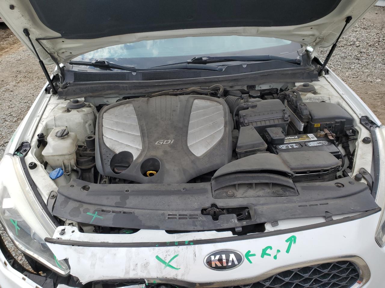 2014 Kia Cadenza Premium VIN: KNALN4D72E5166699 Lot: 64481244