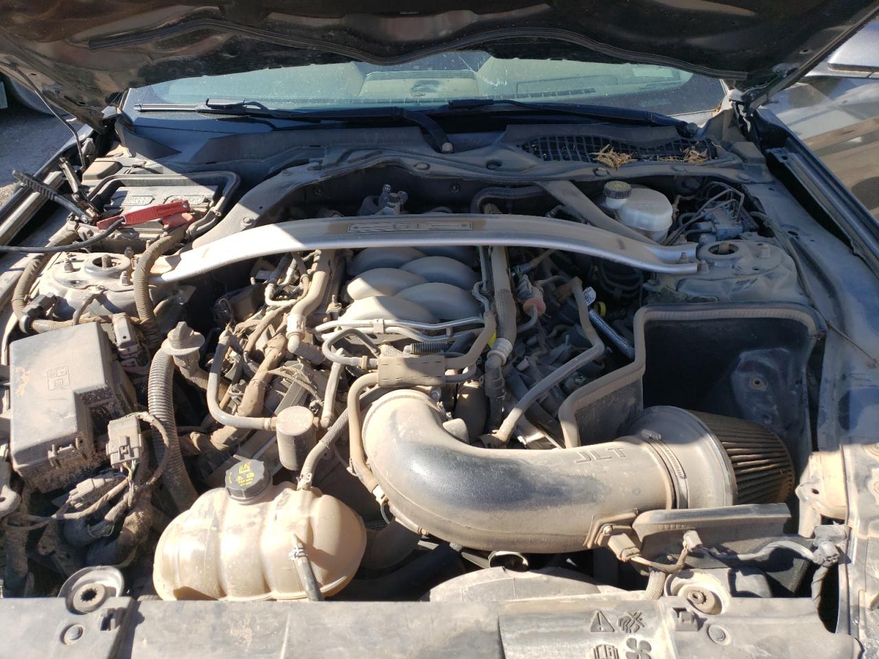 2019 Ford Mustang Gt VIN: 1FA6P8CF3K5175410 Lot: 62021014