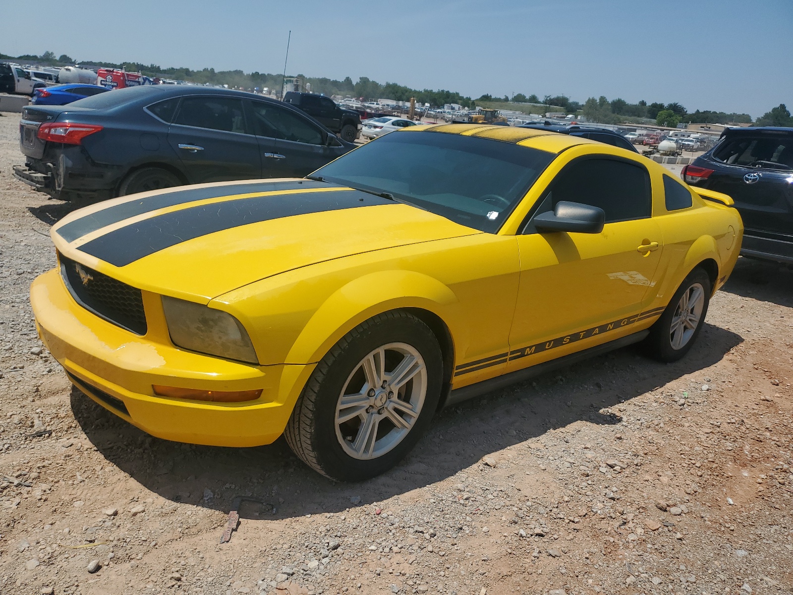 1ZVFT80N265132617 2006 Ford Mustang