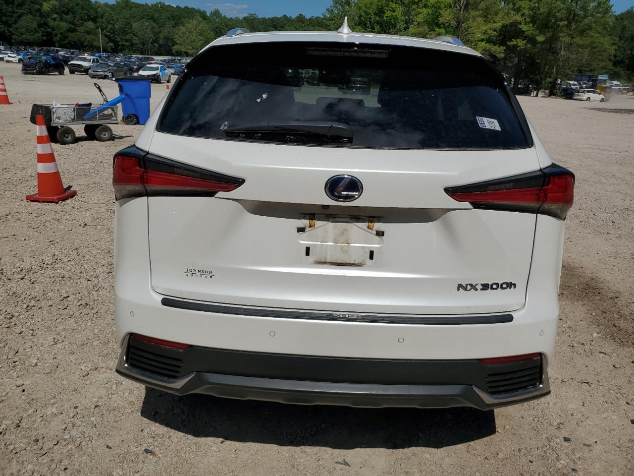 2018 Lexus Nx 300H VIN: JTJBJRBZ3J2083674 Lot: 61385944