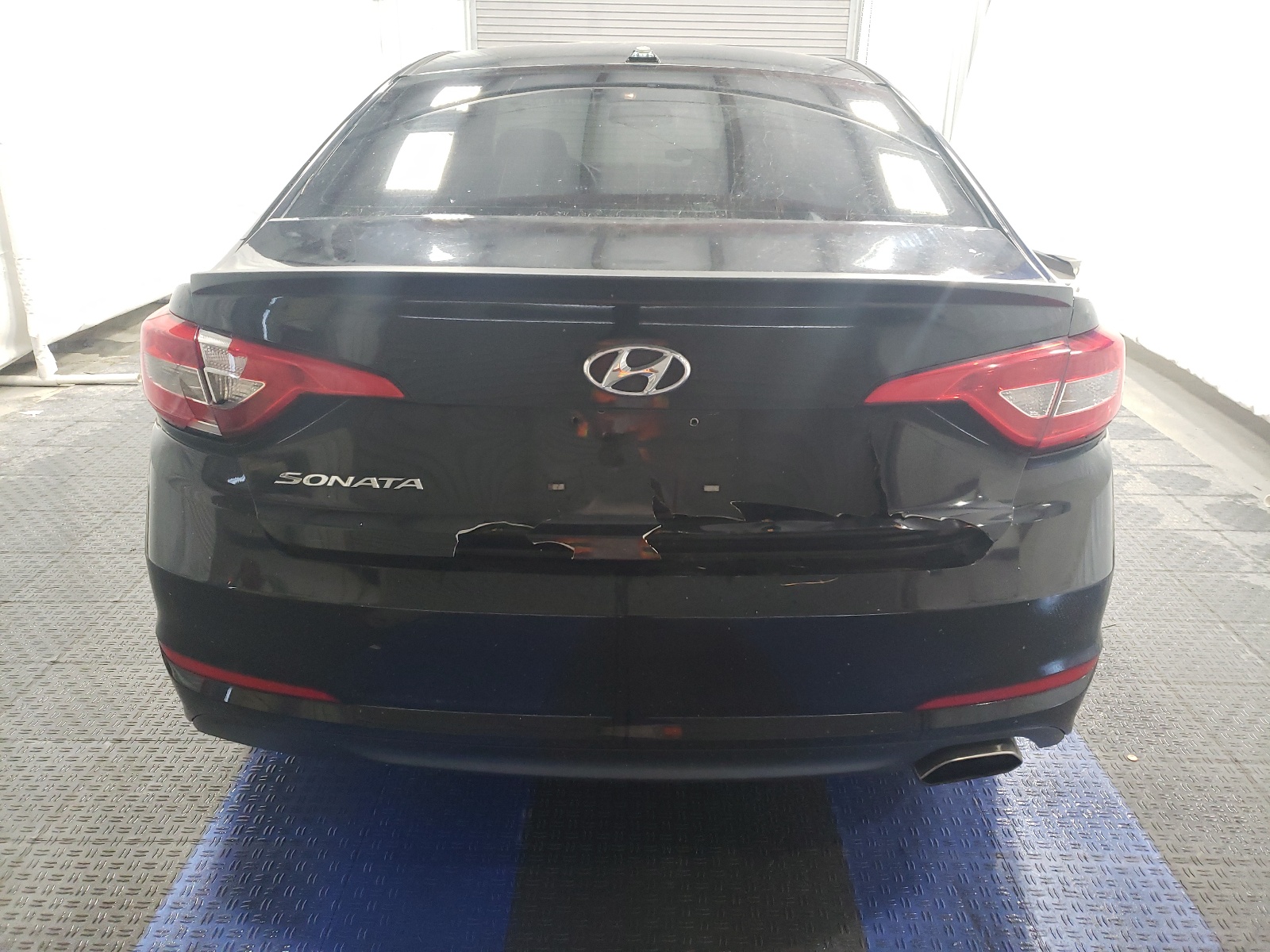 5NPE24AF5GH358945 2016 Hyundai Sonata Se