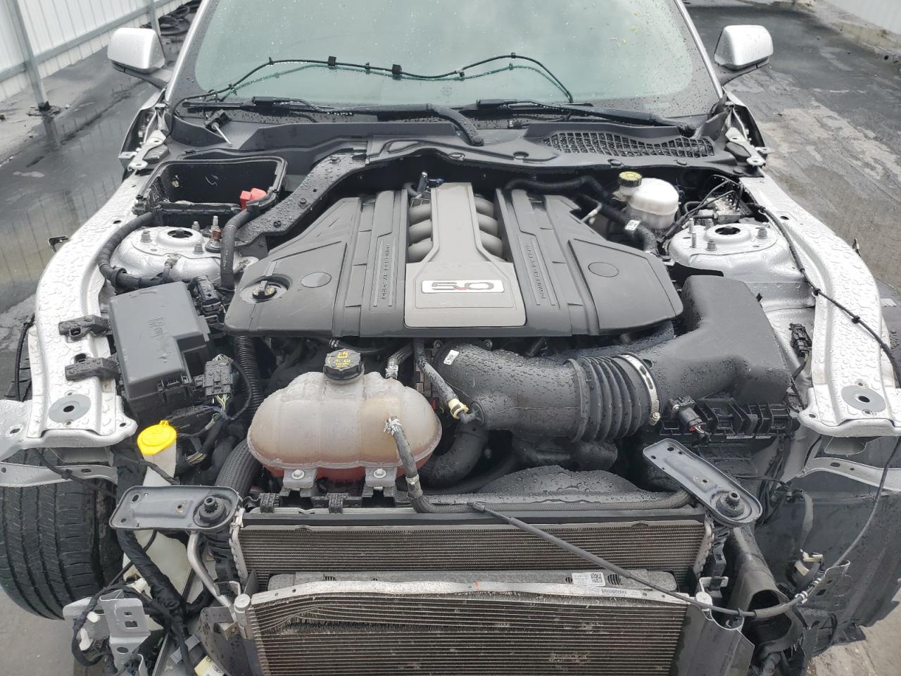 2019 Ford Mustang Gt VIN: 1FA6P8CF9K5193586 Lot: 63051594