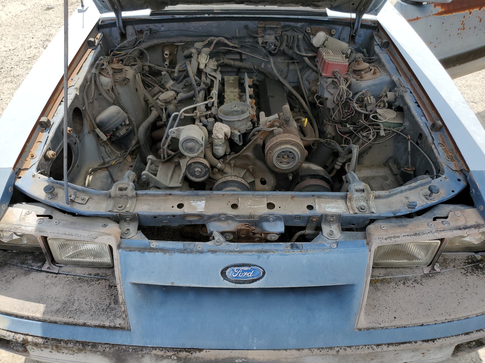 1FABP26M6GF308491 1986 Ford Mustang Lx